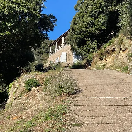 Villa Maison Indépendante à Sainte-lucie De Tallano Santa-Lucia-di-Tallano